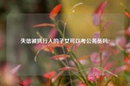 失信被执行人的子女可以考公务员吗?