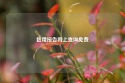 信用报告网上查询免费