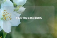 企业征信服务公司靠谱吗